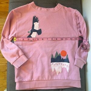 Patagonia Pink Kids Sweatshirt with Bird Design